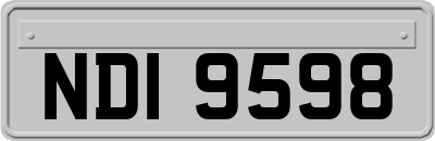 NDI9598