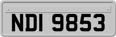 NDI9853