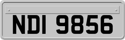 NDI9856