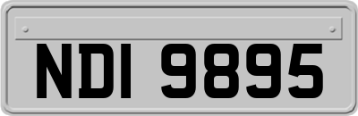 NDI9895