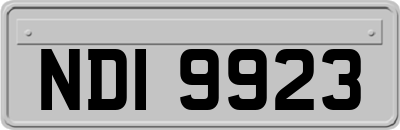 NDI9923