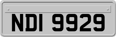 NDI9929