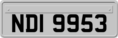 NDI9953