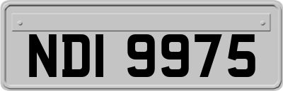NDI9975