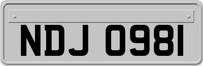 NDJ0981