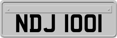 NDJ1001