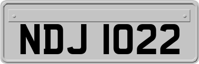 NDJ1022