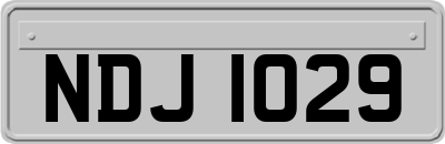 NDJ1029