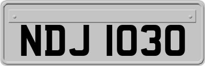 NDJ1030