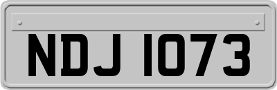 NDJ1073