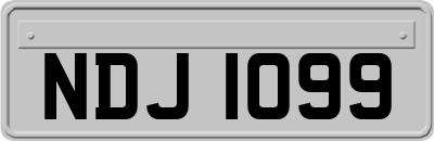 NDJ1099