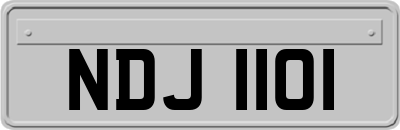 NDJ1101