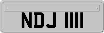 NDJ1111