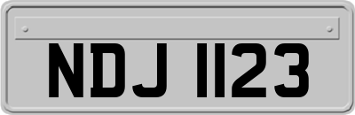 NDJ1123