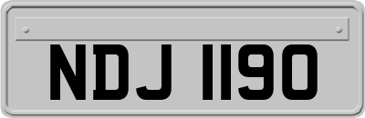 NDJ1190