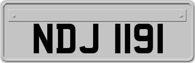 NDJ1191