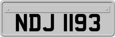 NDJ1193