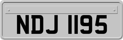 NDJ1195