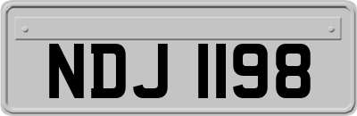 NDJ1198