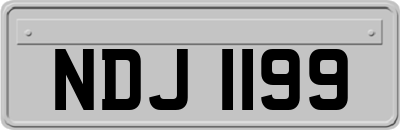 NDJ1199