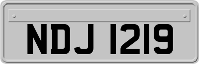 NDJ1219