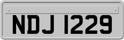 NDJ1229