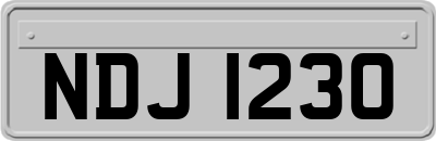 NDJ1230
