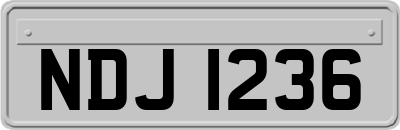 NDJ1236