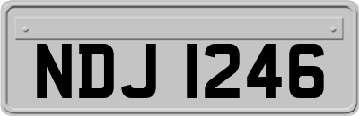 NDJ1246