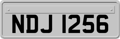 NDJ1256