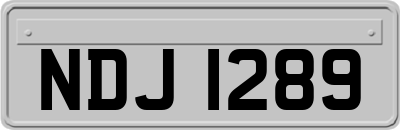 NDJ1289