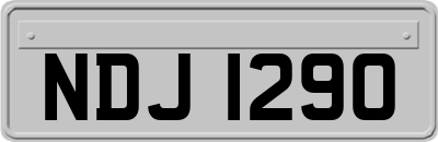 NDJ1290