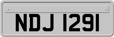 NDJ1291