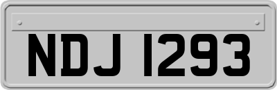 NDJ1293