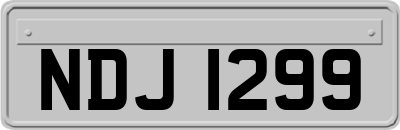 NDJ1299