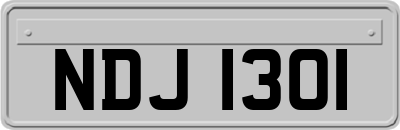 NDJ1301