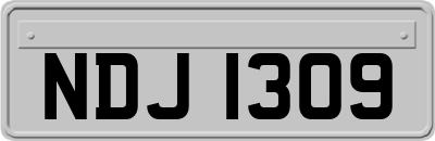NDJ1309