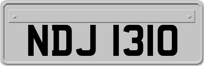 NDJ1310