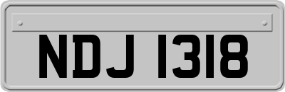 NDJ1318
