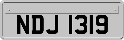 NDJ1319
