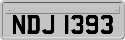 NDJ1393