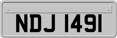 NDJ1491