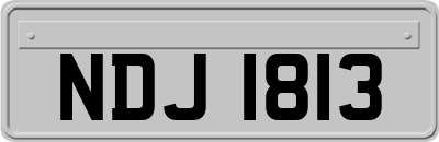 NDJ1813