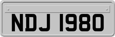 NDJ1980