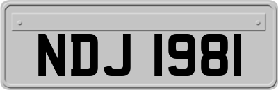 NDJ1981