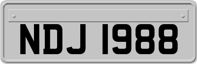 NDJ1988