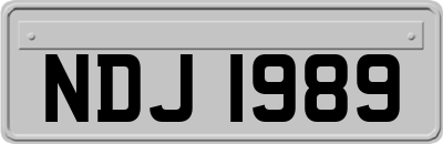 NDJ1989