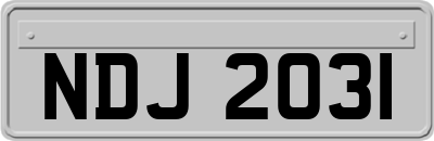 NDJ2031