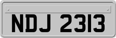 NDJ2313