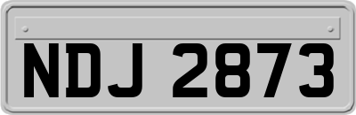 NDJ2873